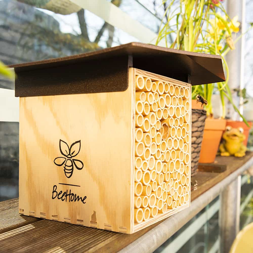 BeeHome Bienenhaus Classic