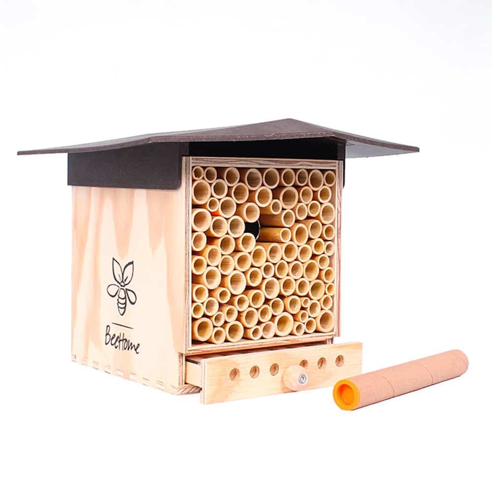 BeeHome Bienenhaus Observer