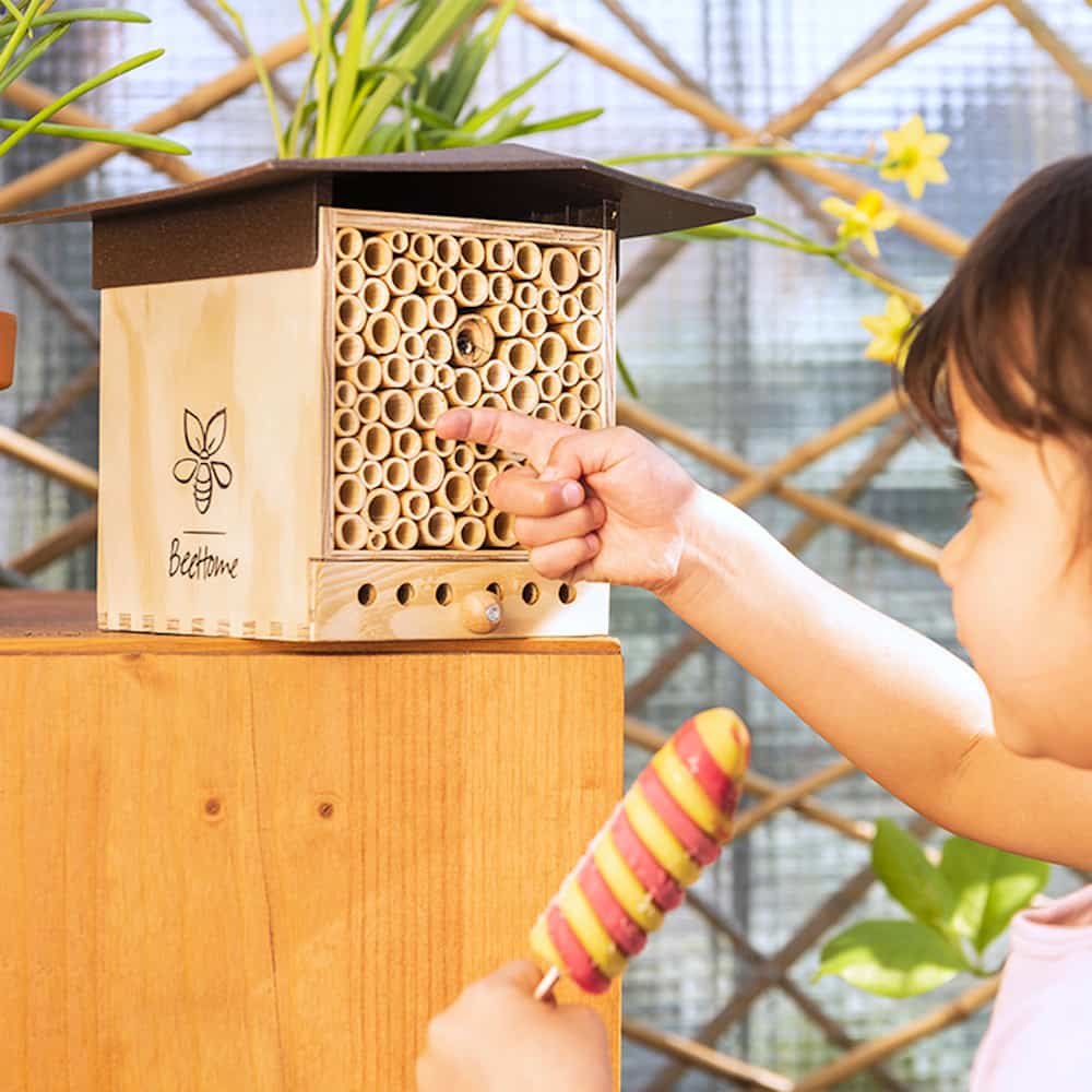 BeeHome Bienenhaus Observer