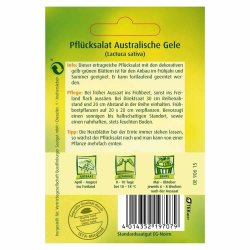 Pflücksalat, Australische Gele