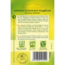 Liebstock, Maggikraut