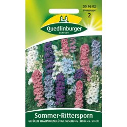 Sommer-Rittersporn, Gefüllte hyazinthenblühende...