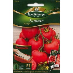 Saatplatte Tomate, Harzglut  Anzucht F1