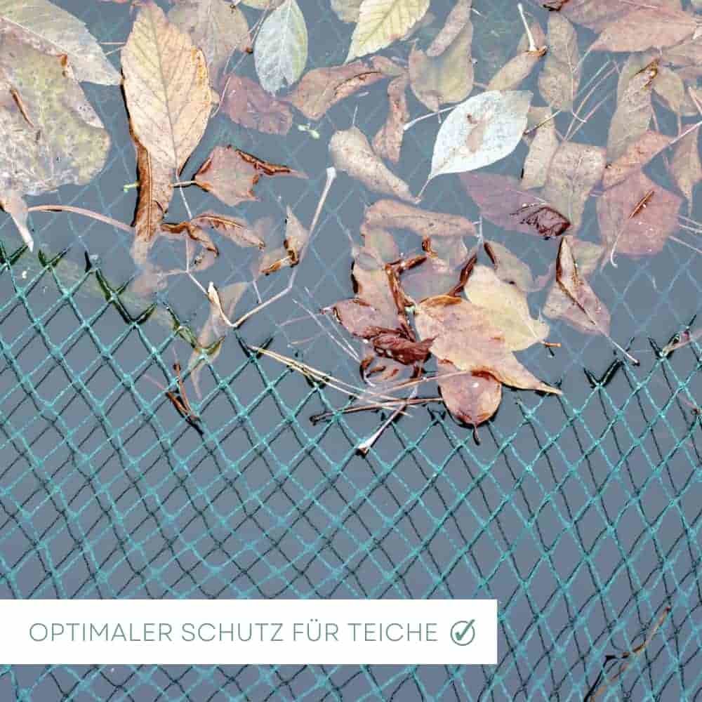 Teichschutznetz 3 m x 6 m (18m²)